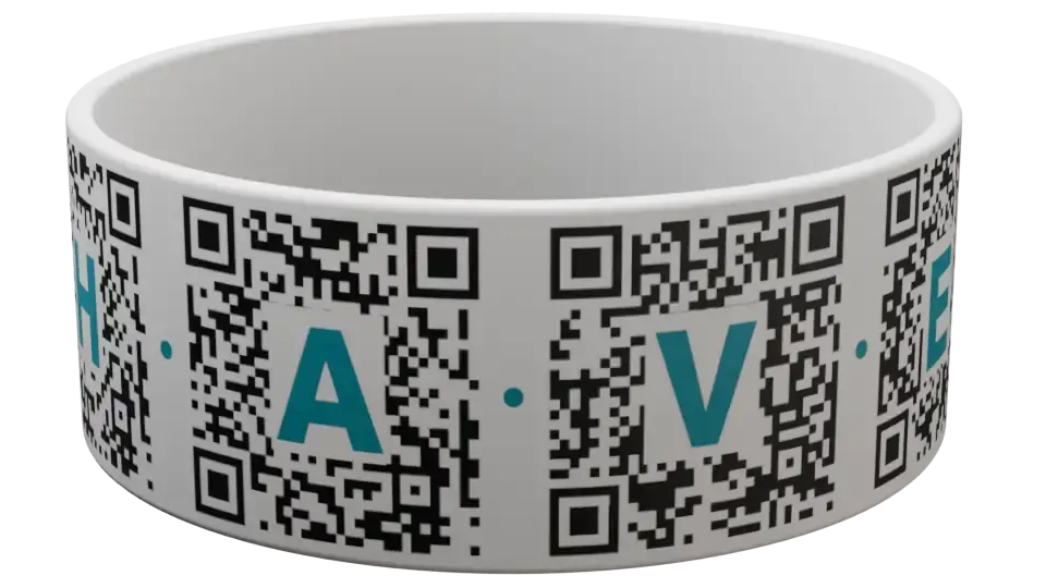 Explore the wristband
